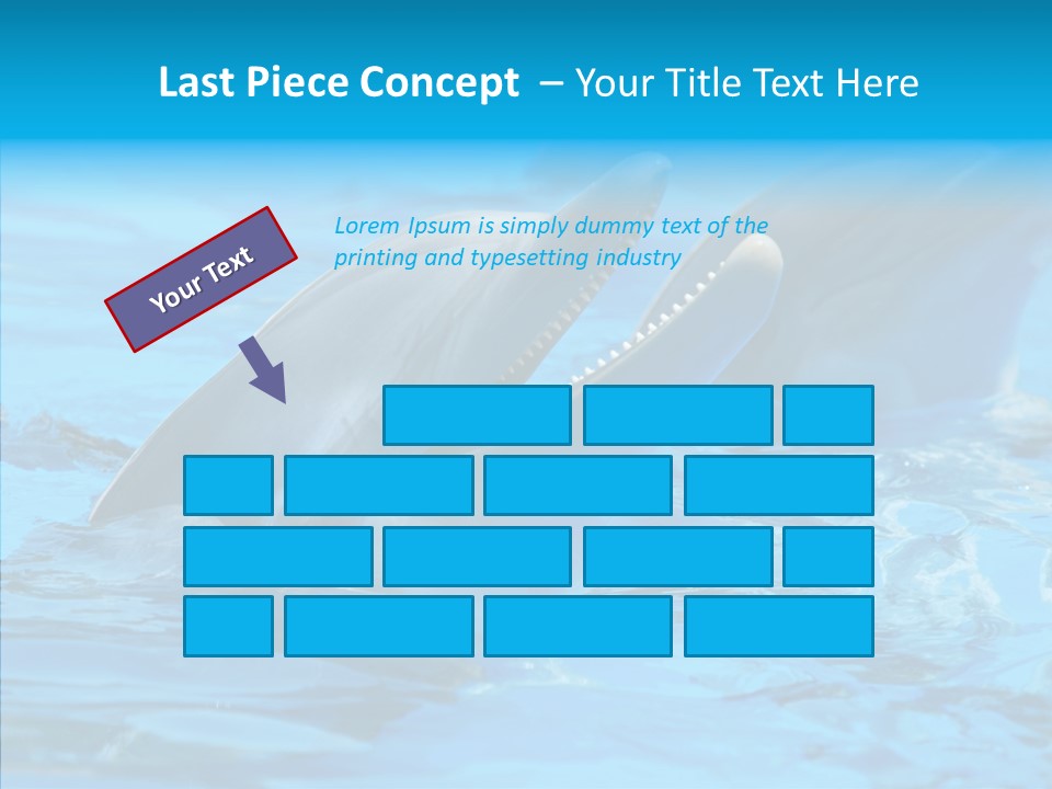 Flipper Dolphin Water PowerPoint Template
