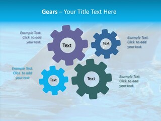 Flipper Dolphin Water PowerPoint Template