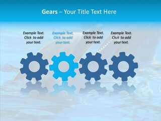 Flipper Dolphin Water PowerPoint Template