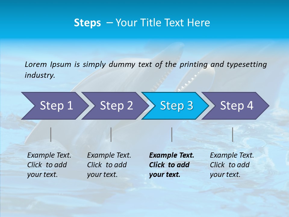 Flipper Dolphin Water PowerPoint Template