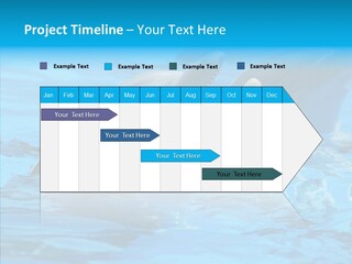 Flipper Dolphin Water PowerPoint Template