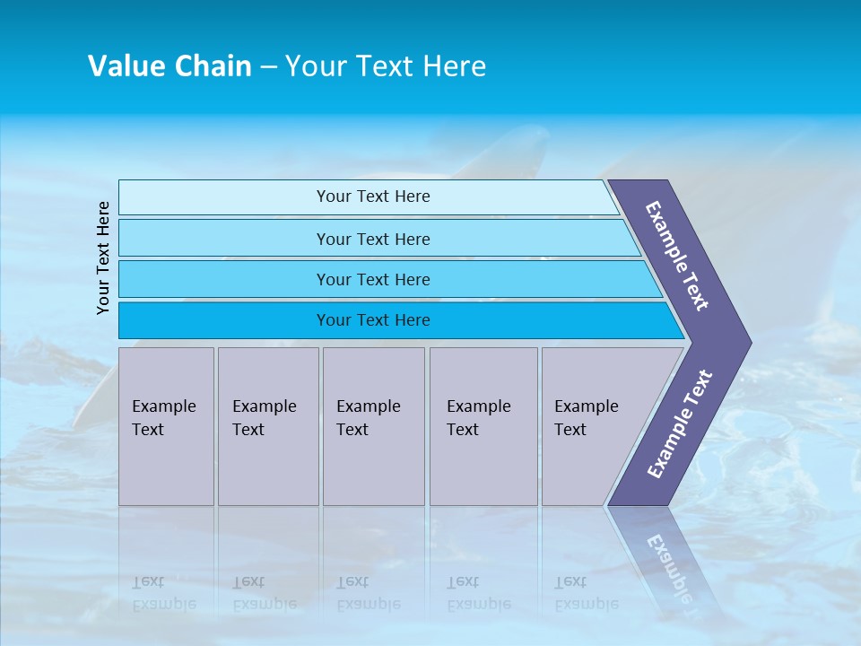 Flipper Dolphin Water PowerPoint Template