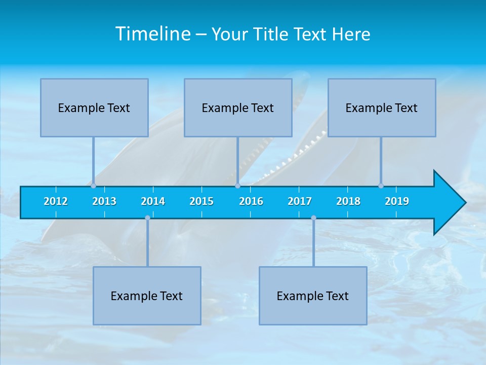 Flipper Dolphin Water PowerPoint Template