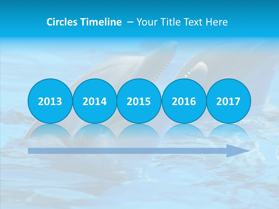 Flipper Dolphin Water PowerPoint Template