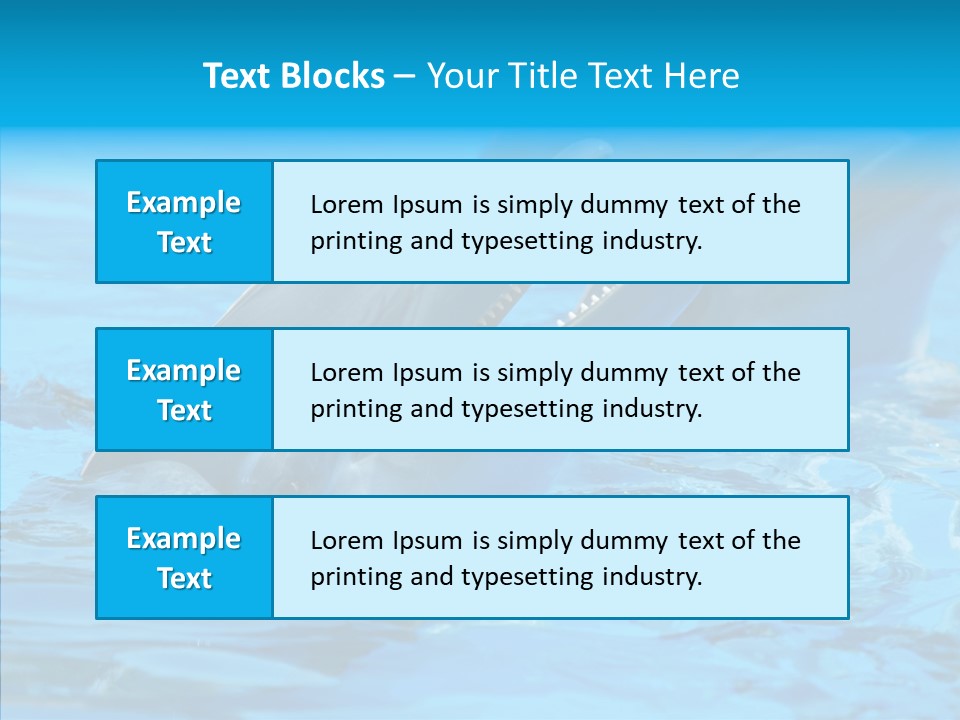 Flipper Dolphin Water PowerPoint Template