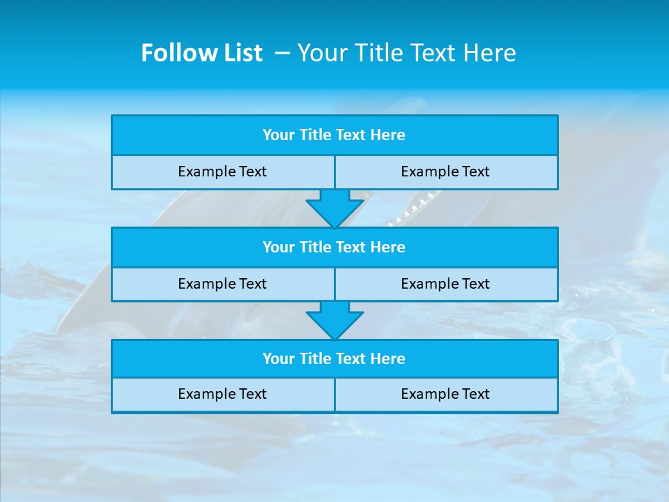 Flipper Dolphin Water PowerPoint Template