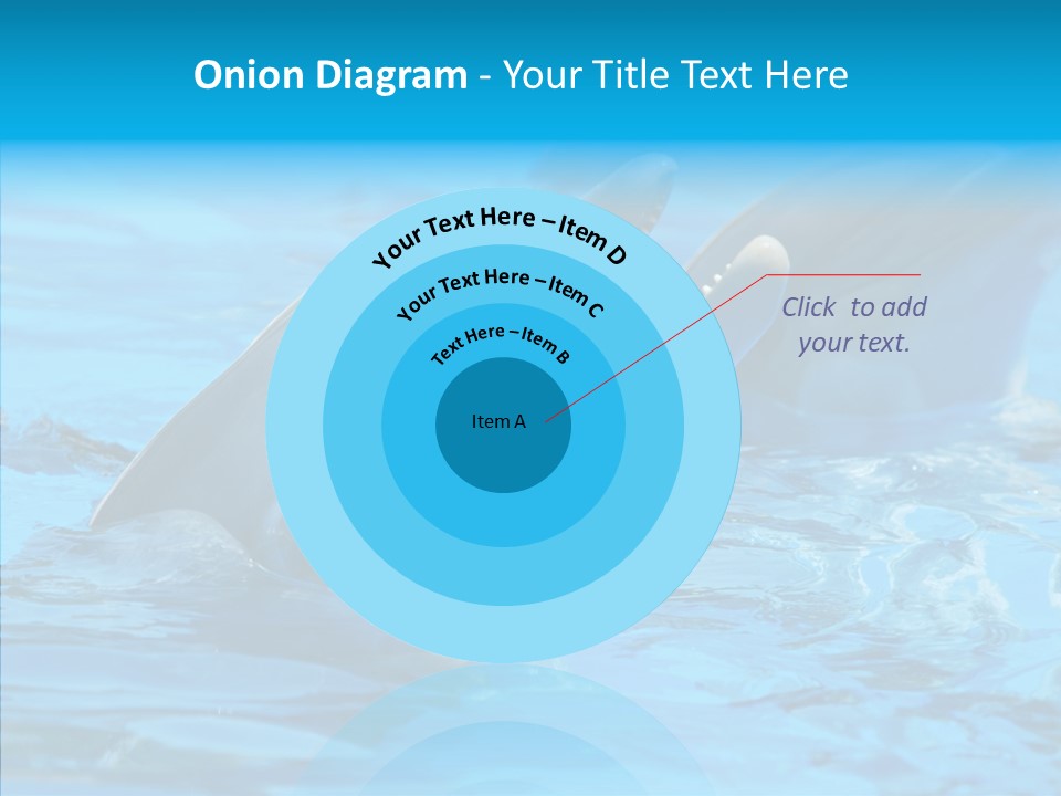 Flipper Dolphin Water PowerPoint Template