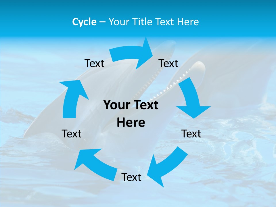 Flipper Dolphin Water PowerPoint Template