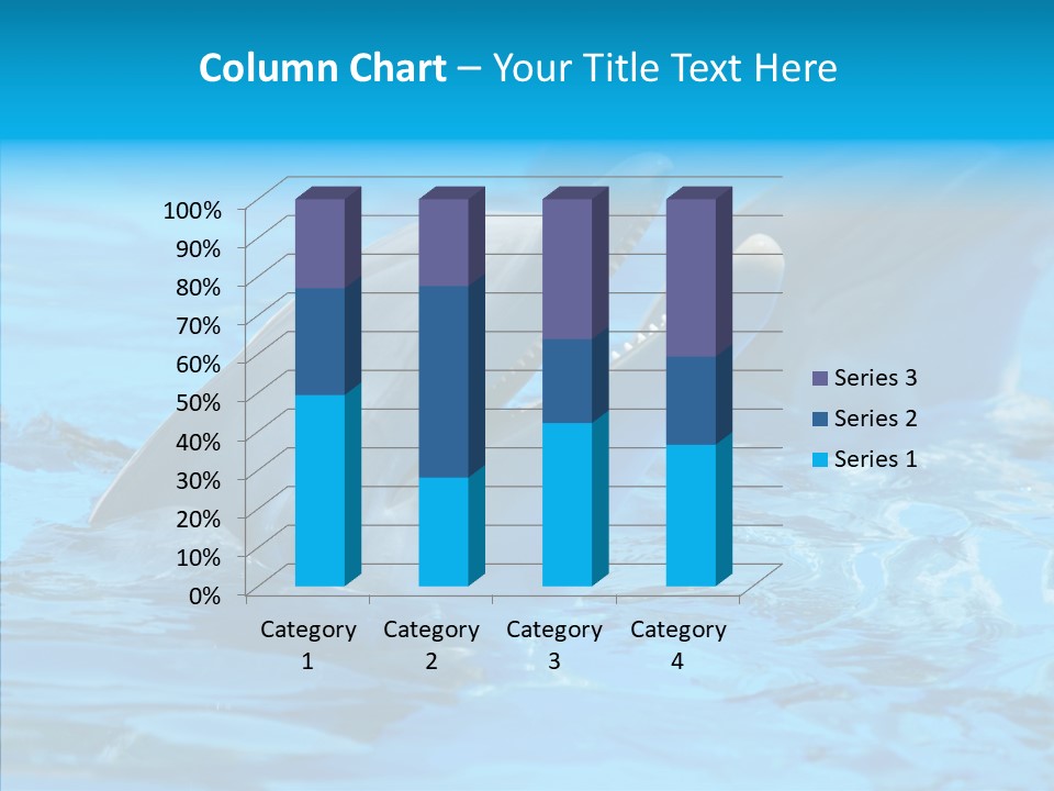 Flipper Dolphin Water PowerPoint Template