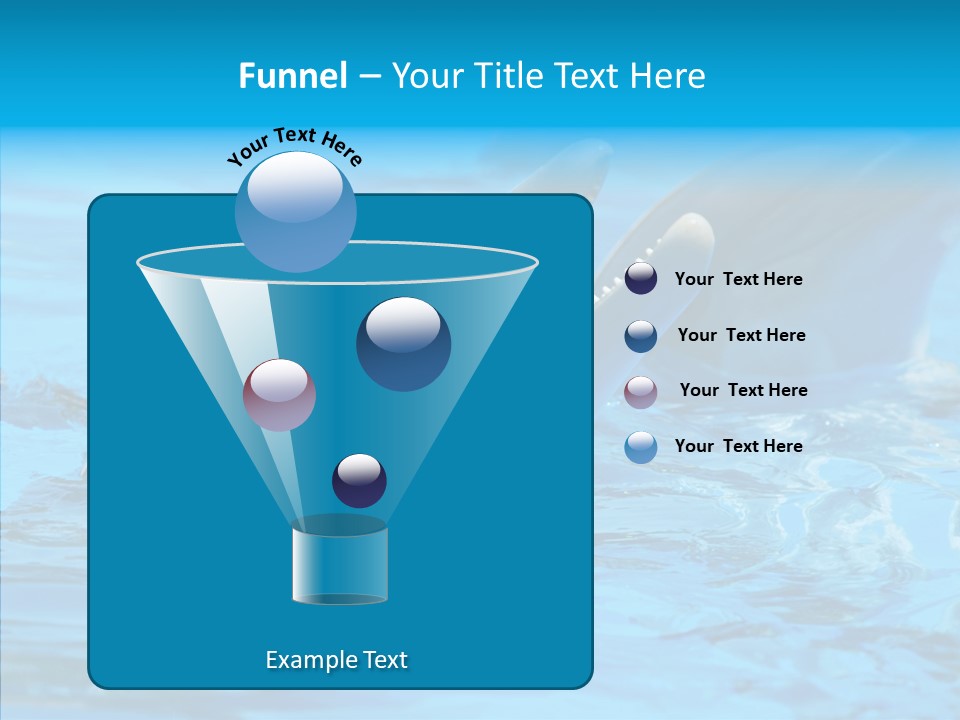 Flipper Dolphin Water PowerPoint Template