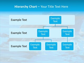 Flipper Dolphin Water PowerPoint Template