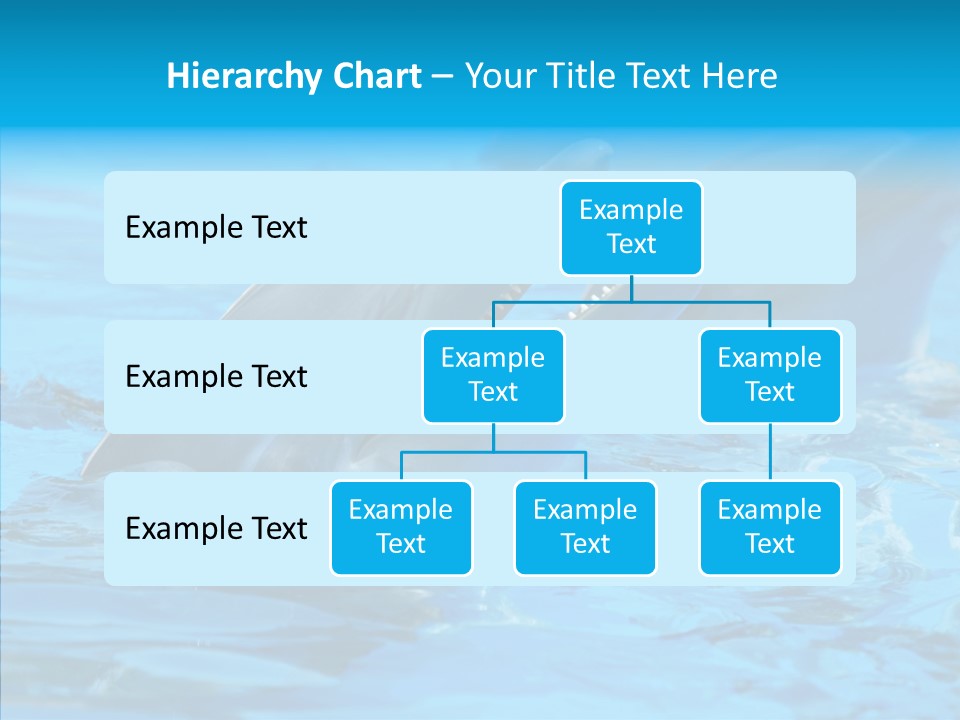 Flipper Dolphin Water PowerPoint Template