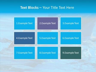 Flipper Dolphin Water PowerPoint Template