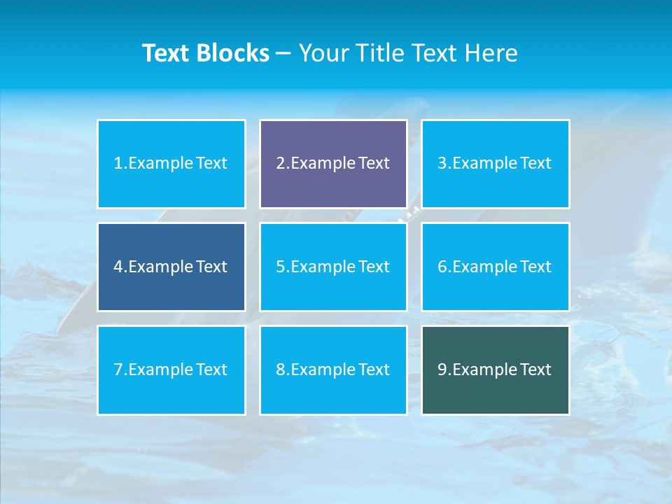 Flipper Dolphin Water PowerPoint Template