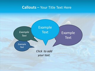Flipper Dolphin Water PowerPoint Template