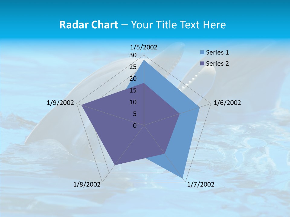 Flipper Dolphin Water PowerPoint Template
