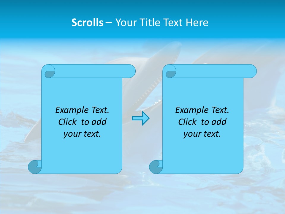 Flipper Dolphin Water PowerPoint Template