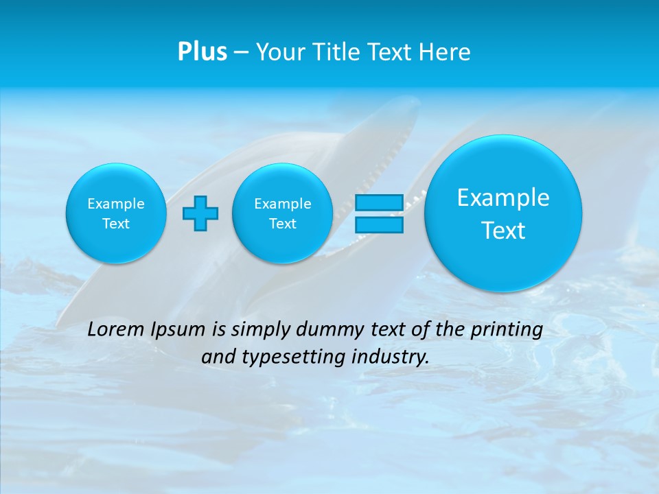 Flipper Dolphin Water PowerPoint Template