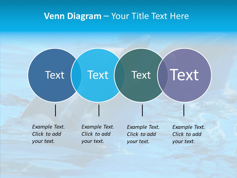 Flipper Dolphin Water PowerPoint Template