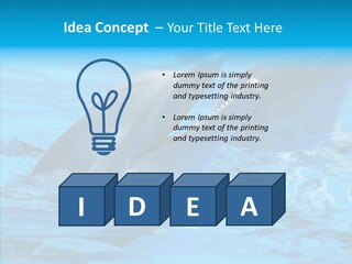 Flipper Dolphin Water PowerPoint Template