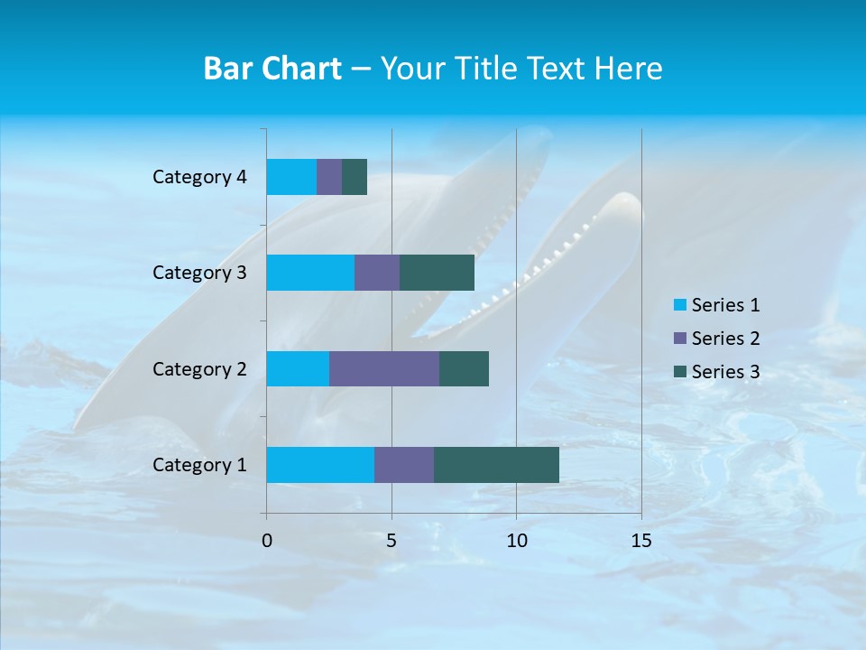 Flipper Dolphin Water PowerPoint Template