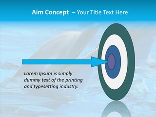 Flipper Dolphin Water PowerPoint Template