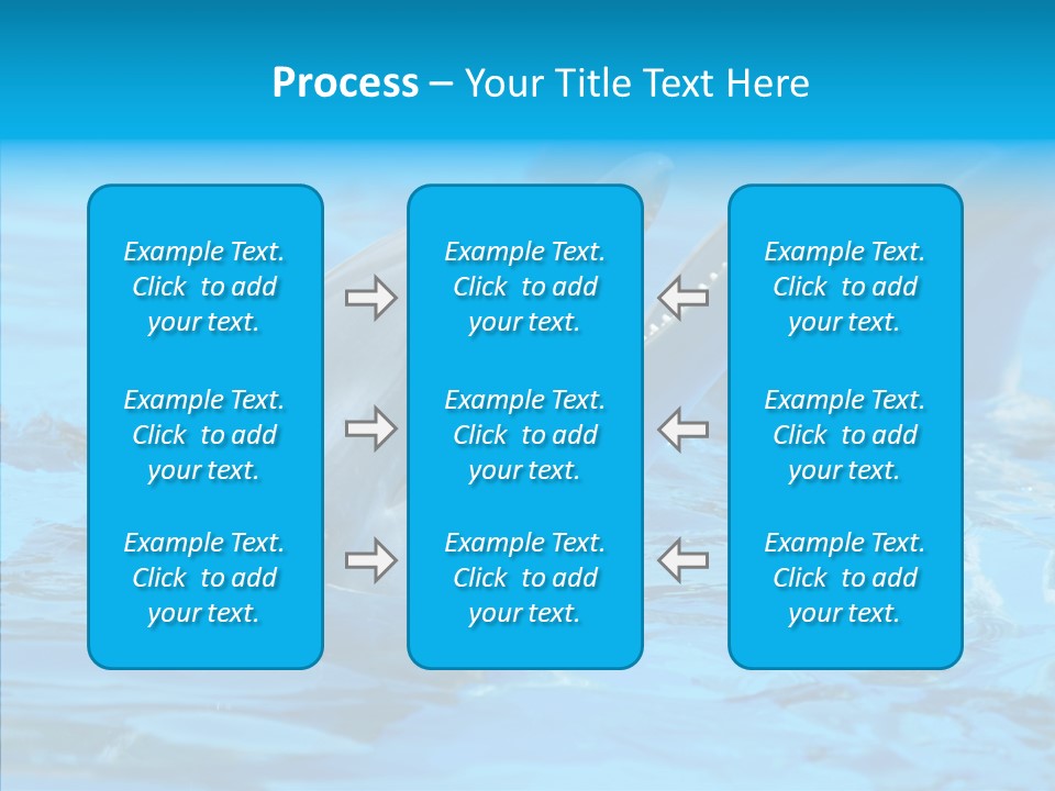 Flipper Dolphin Water PowerPoint Template