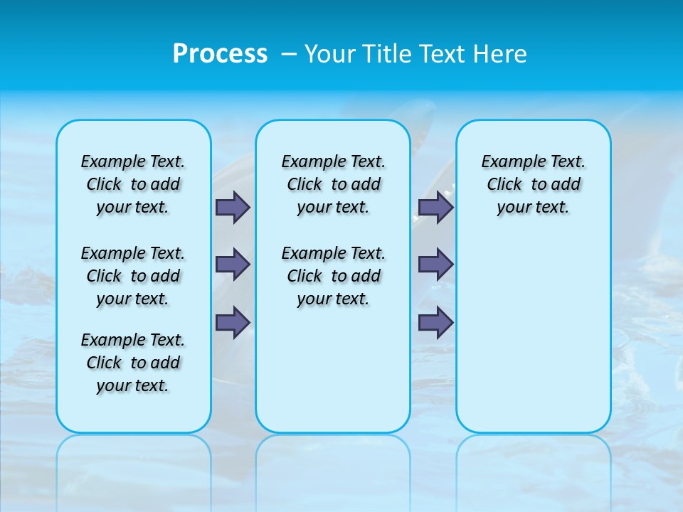 Flipper Dolphin Water PowerPoint Template