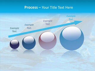 Flipper Dolphin Water PowerPoint Template