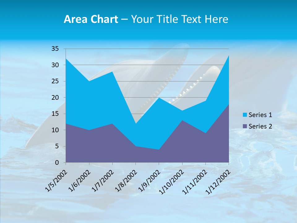 Flipper Dolphin Water PowerPoint Template