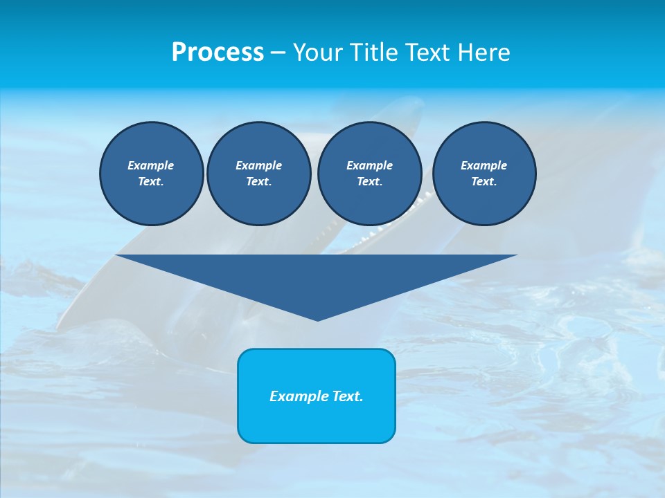 Flipper Dolphin Water PowerPoint Template