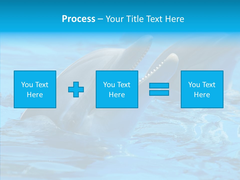 Flipper Dolphin Water PowerPoint Template