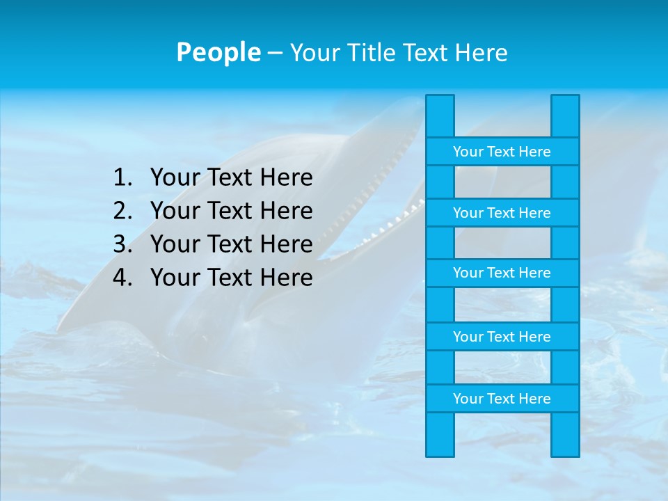 Flipper Dolphin Water PowerPoint Template