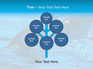 Flipper Dolphin Water PowerPoint Template