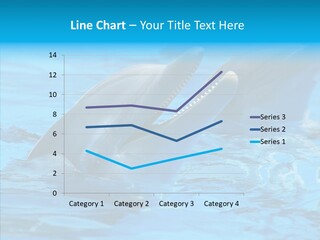 Flipper Dolphin Water PowerPoint Template