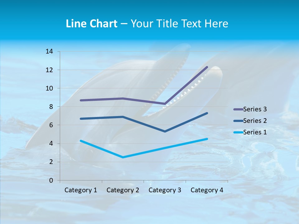 Flipper Dolphin Water PowerPoint Template