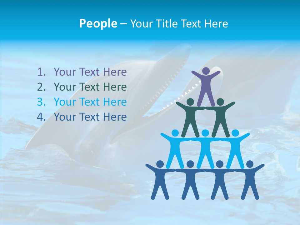 Flipper Dolphin Water PowerPoint Template