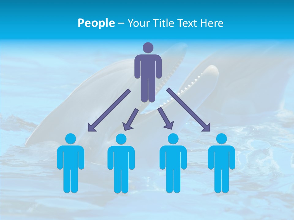 Flipper Dolphin Water PowerPoint Template