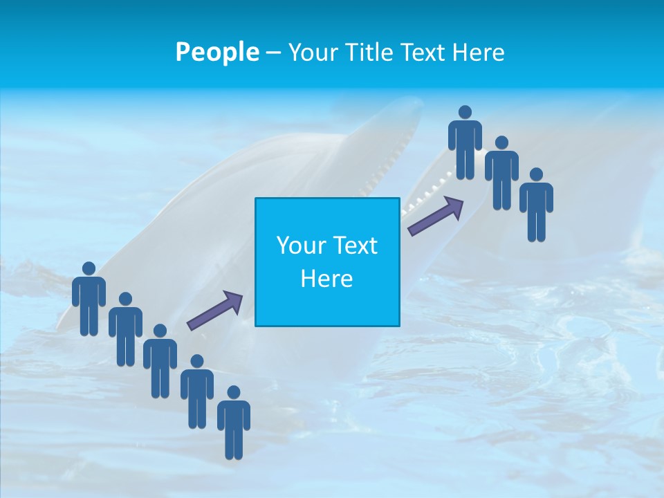 Flipper Dolphin Water PowerPoint Template