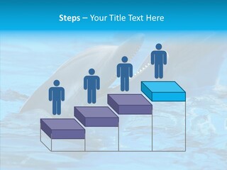 Flipper Dolphin Water PowerPoint Template