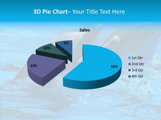 Flipper Dolphin Water PowerPoint Template