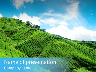 View Hill Field PowerPoint Template