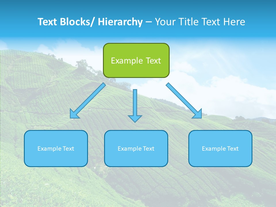 View Hill Field PowerPoint Template