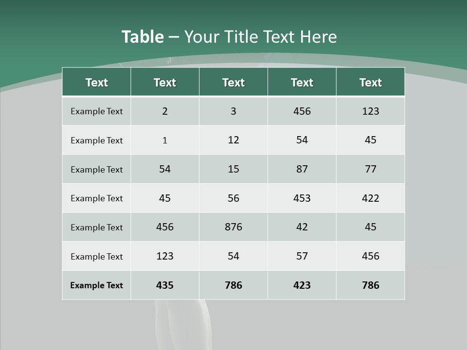 Hair  Girl PowerPoint Template