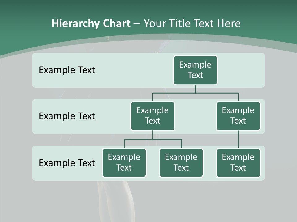 Hair  Girl PowerPoint Template