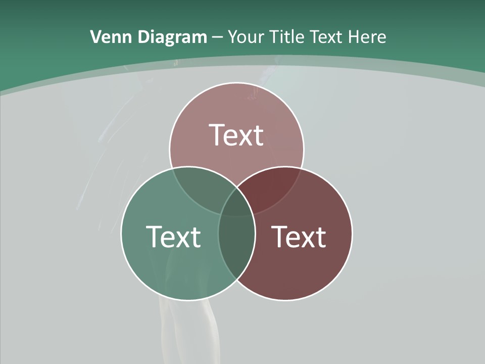 Hair  Girl PowerPoint Template