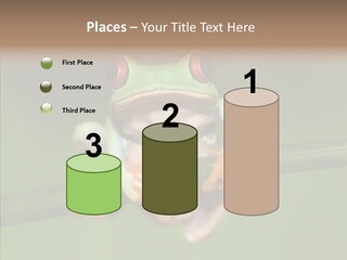Big Hiding Green PowerPoint Template