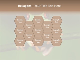 Big Hiding Green PowerPoint Template