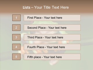 Big Hiding Green PowerPoint Template