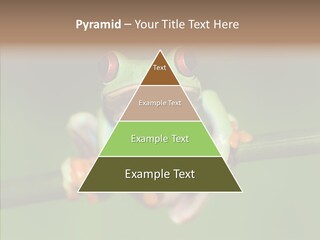 Big Hiding Green PowerPoint Template